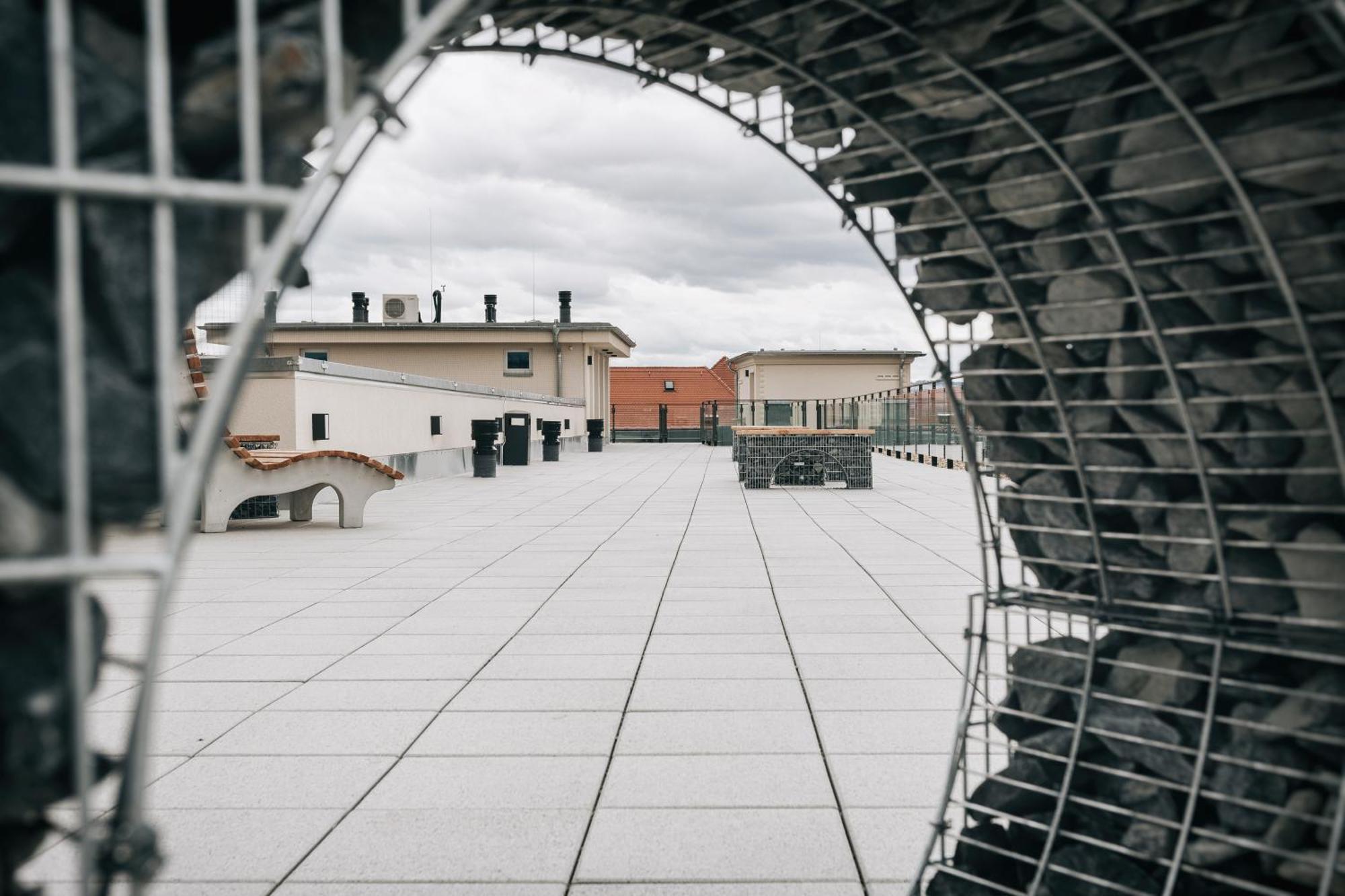 Oasis Appart - Wohnen In Dresden - Netflix - Tiefgarage - Dachterrasse Exterior foto